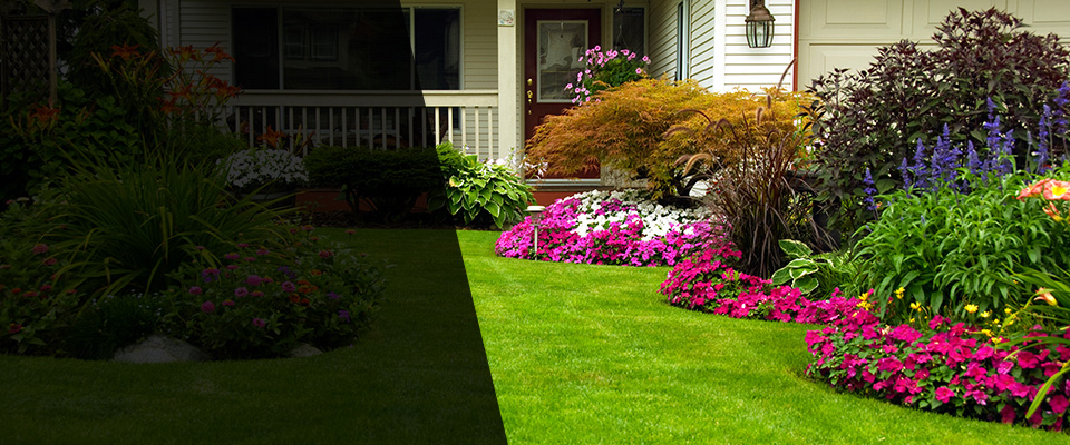 Macon Landscapers