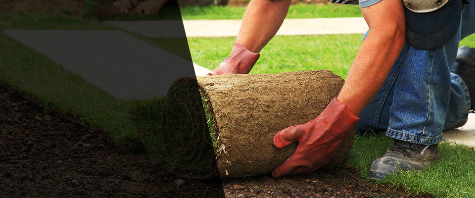 Macon Landscapers